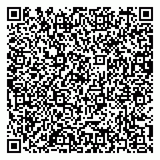 vCard 79397155331