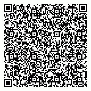 vCard 79397155381