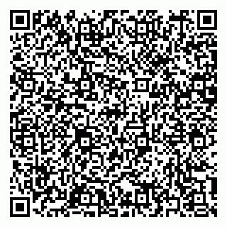 vCard 79397155872