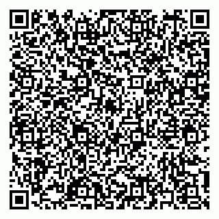 vCard 79397155903