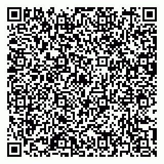 vCard 79397155933