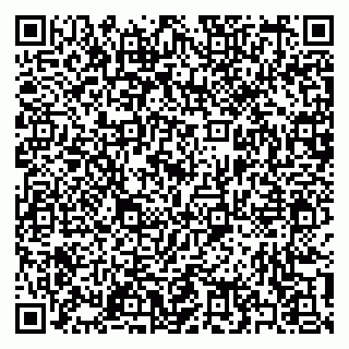 vCard 79397156211