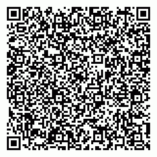 vCard 79397156285