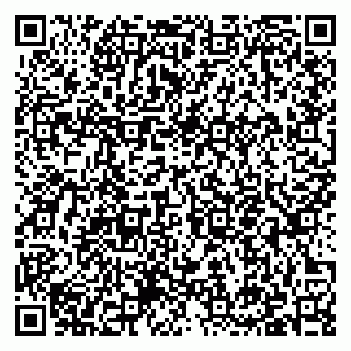 vCard 79397157489