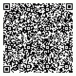 vCard 79397157503