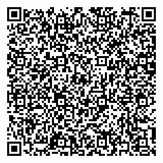 vCard 79397157871