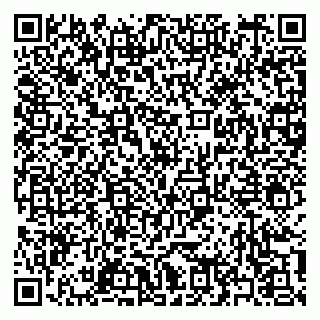 vCard 79397158221