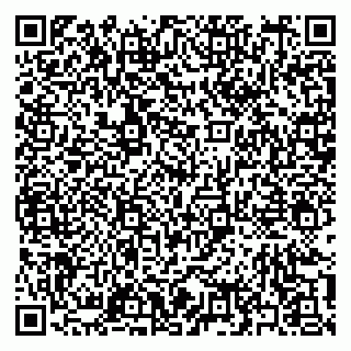 vCard 79397158503