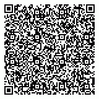 vCard 79397158513