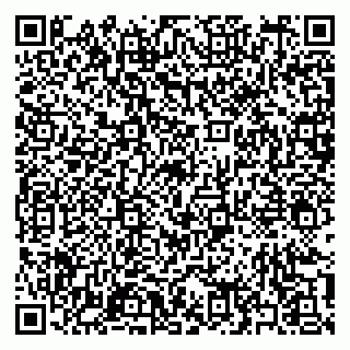 vCard 79397158713