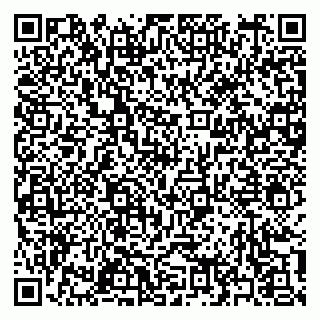 vCard 79397158821