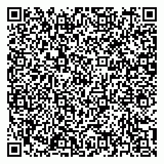 vCard 79397158871