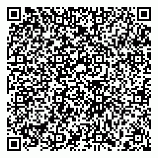 vCard 79397158877