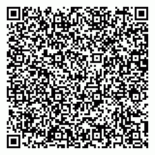 vCard 79397159171