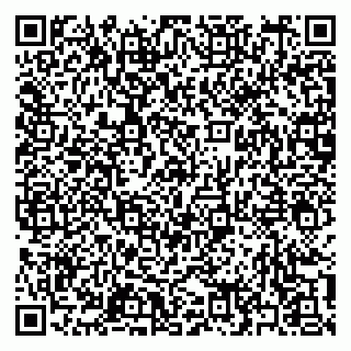 vCard 79397159271