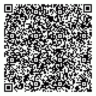 vCard 79397159285