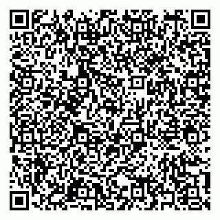 vCard 79397159287
