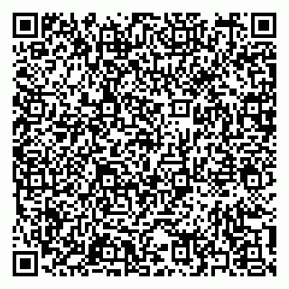 vCard 79397159295