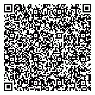 vCard 79397159301
