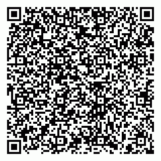 vCard 79397159308