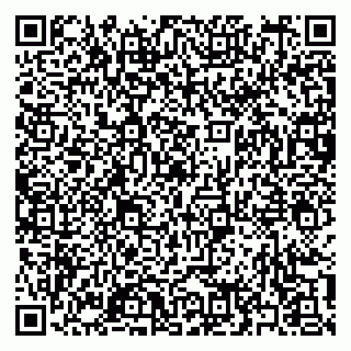 vCard 79397159331