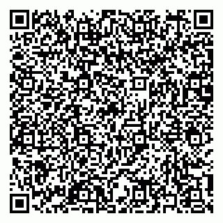 vCard 79397159379
