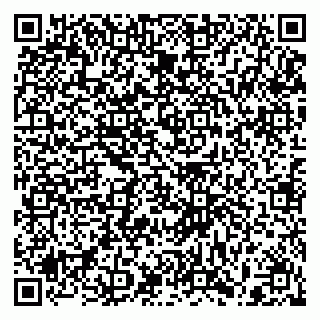 vCard 79397159382