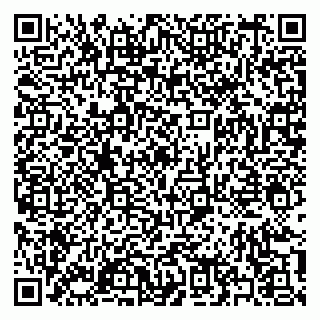 vCard 79397159383
