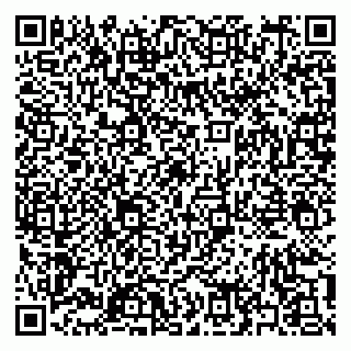 vCard 79397159385