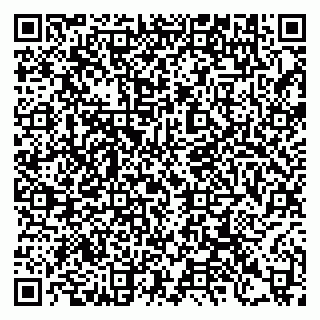 vCard 79397159387