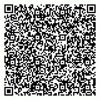vCard 79397159389
