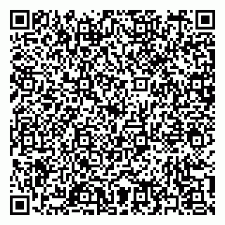 vCard 79397159411
