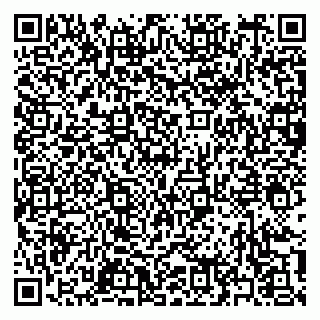 vCard 79397159533