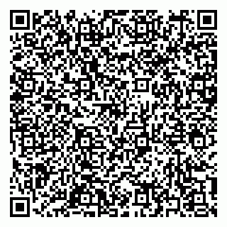 vCard 79397159629