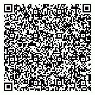 vCard 79397159872