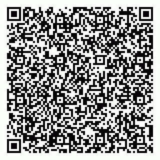 vCard 79397160099