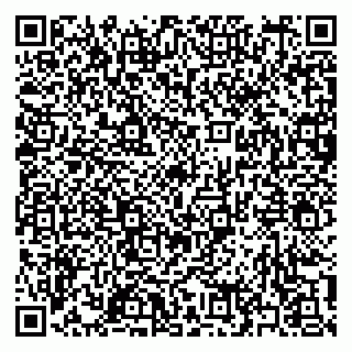 vCard 79397160235