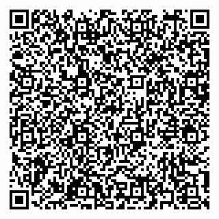 vCard 79397160310