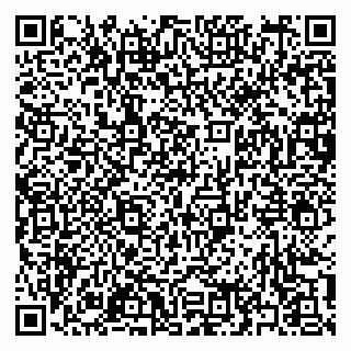 vCard 79397160331