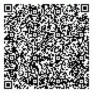 vCard 79397160529