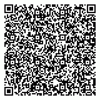vCard 79397160874