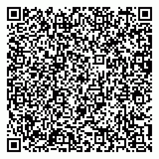 vCard 79397161239