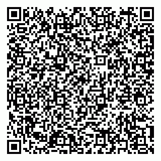 vCard 79397161285