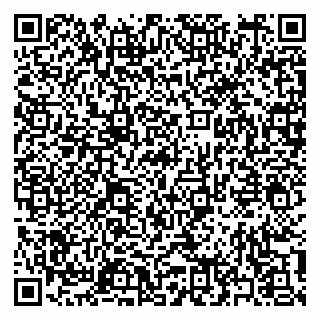 vCard 79397161294