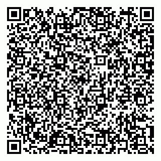 vCard 79397161297