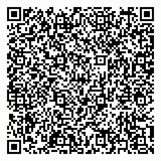 vCard 79397161300