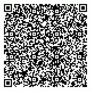 vCard 79397161301
