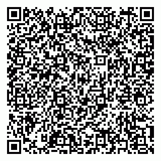 vCard 79397161305