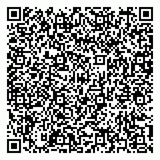 vCard 79397161317