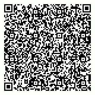vCard 79397161331